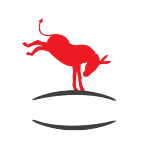 Donkey Pub Logo